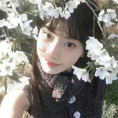 青囊传